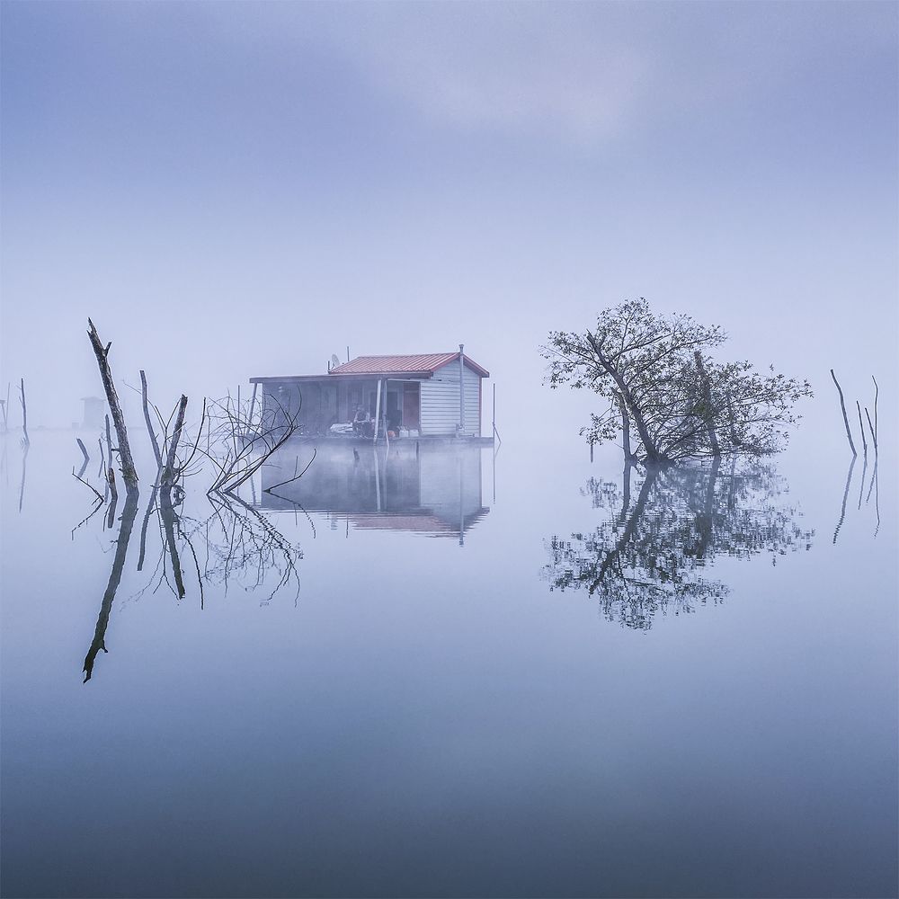Foggy Reflectoin