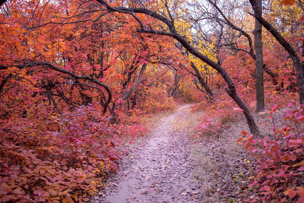 Photograph by Oksana Ermoshenko