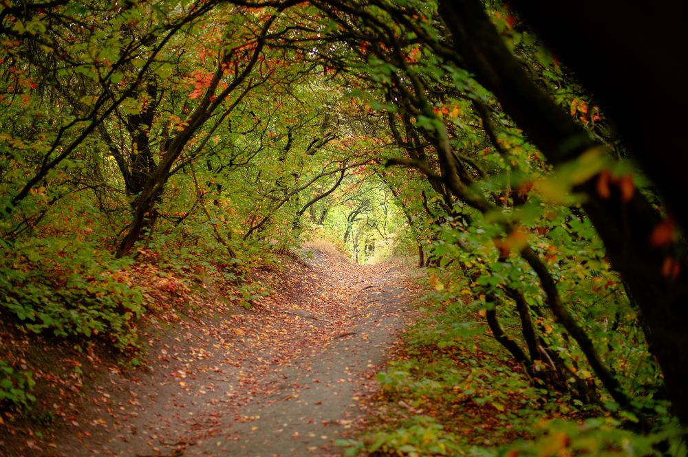 Photograph by Oksana Ermoshenko