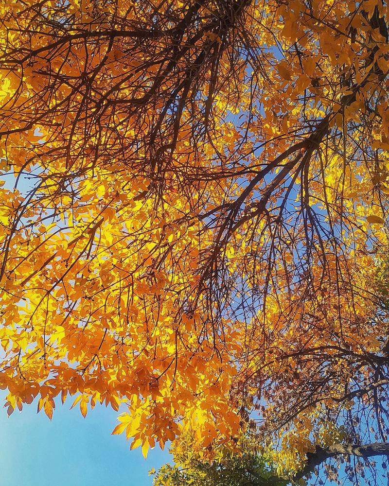 Photograph by Irina Grass