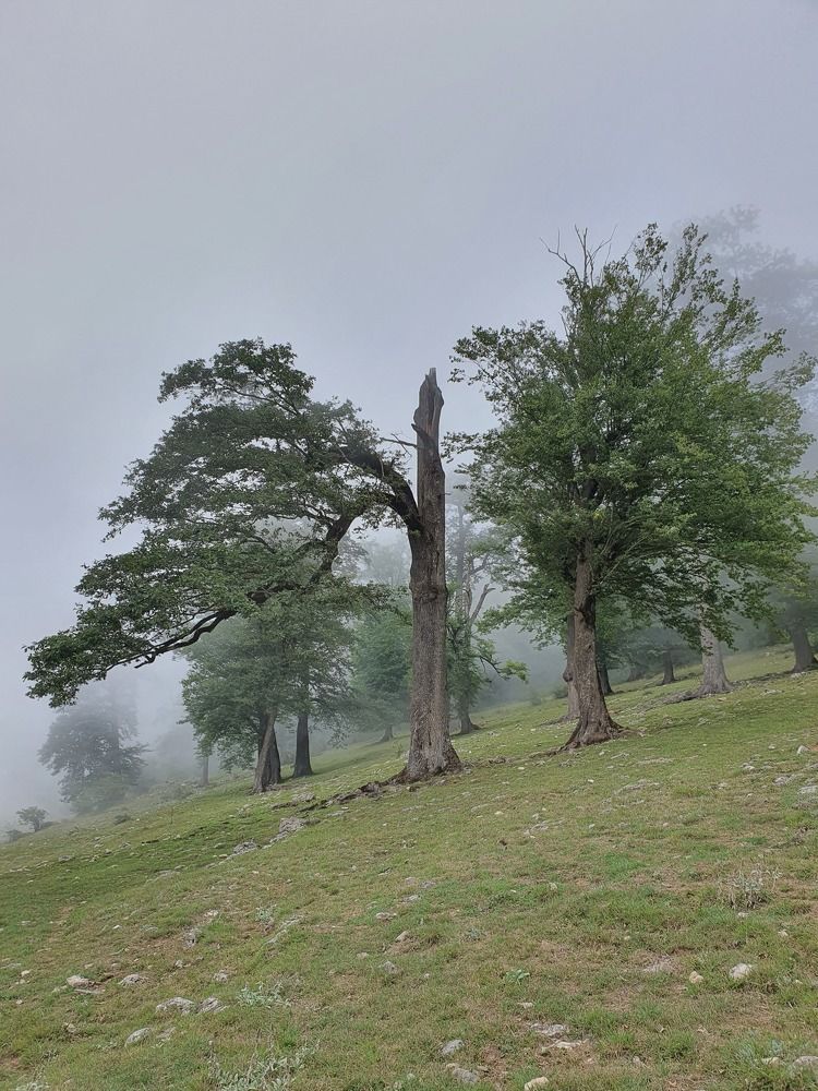 Photo #6720404