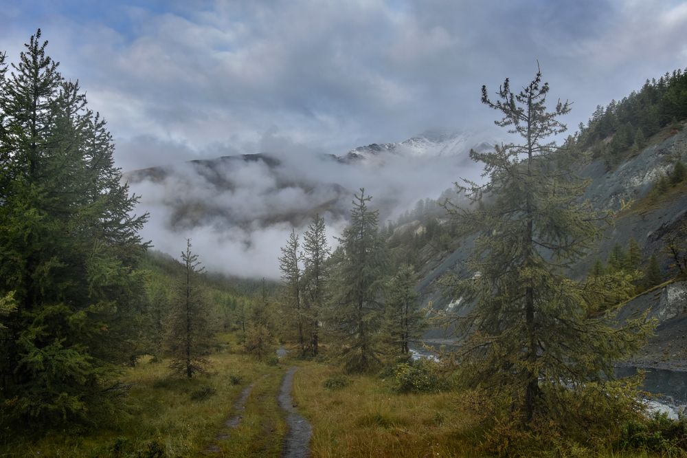 Утренний пейзаж.
