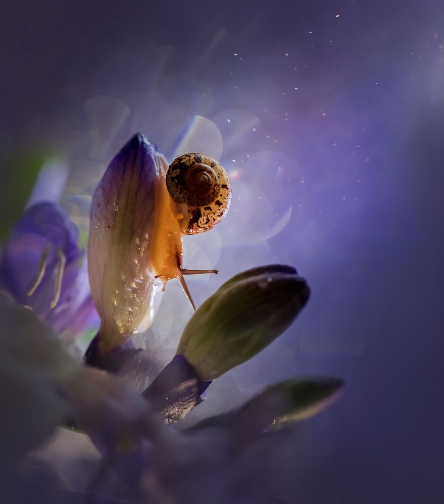 Photograph by Елена Иванова