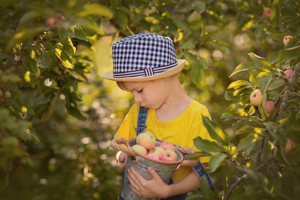 Photograph by Елена Иванова