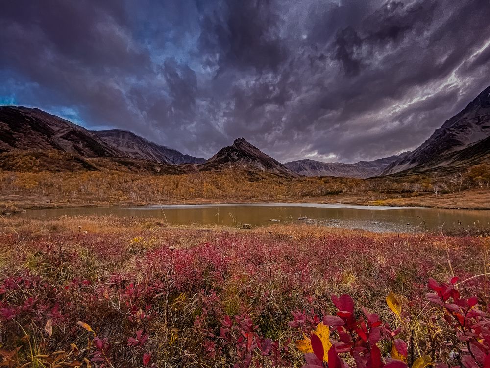 Photograph by Валерия Варшавская