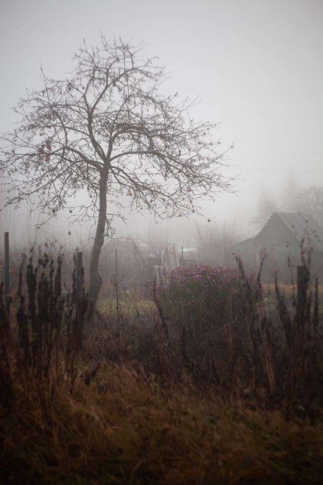 Photograph by Ершов Сергей