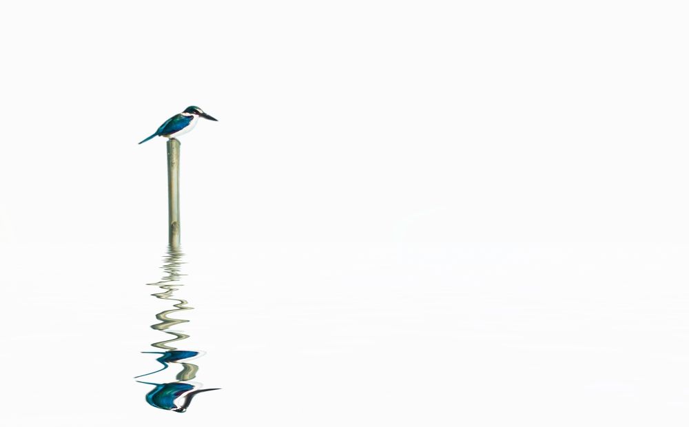 Photograph by Tháp Trần Thanh