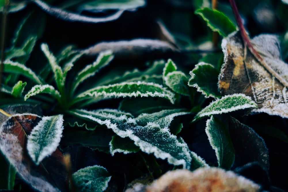 Photograph by Светлана Васина