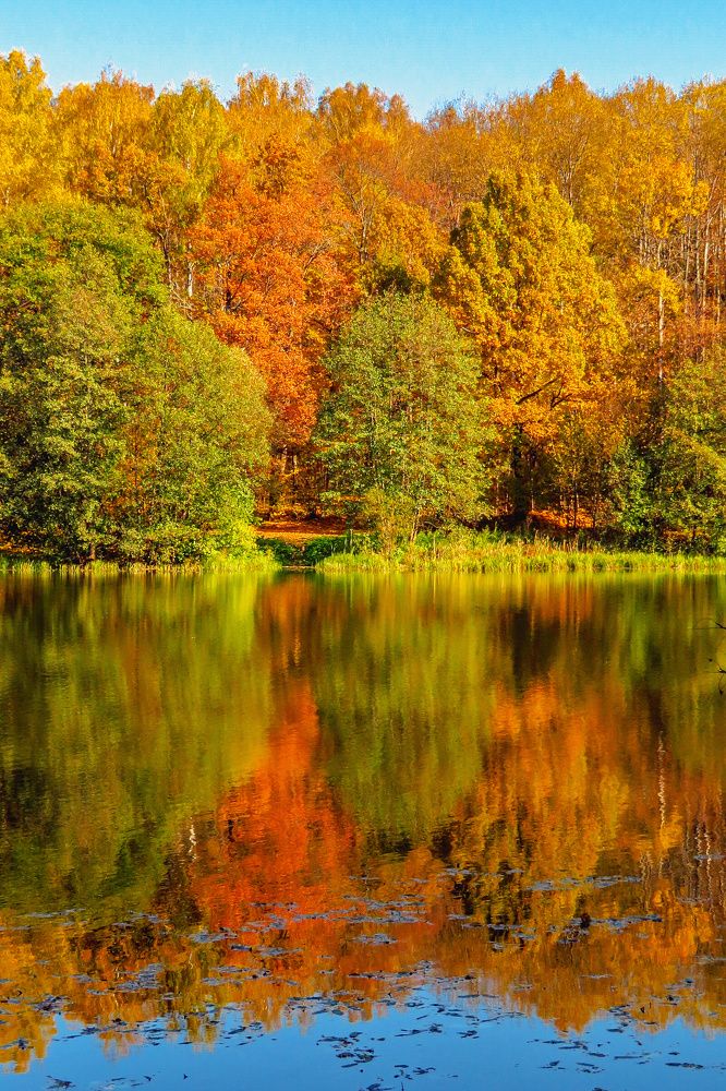 Photograph by Крылов Владимир