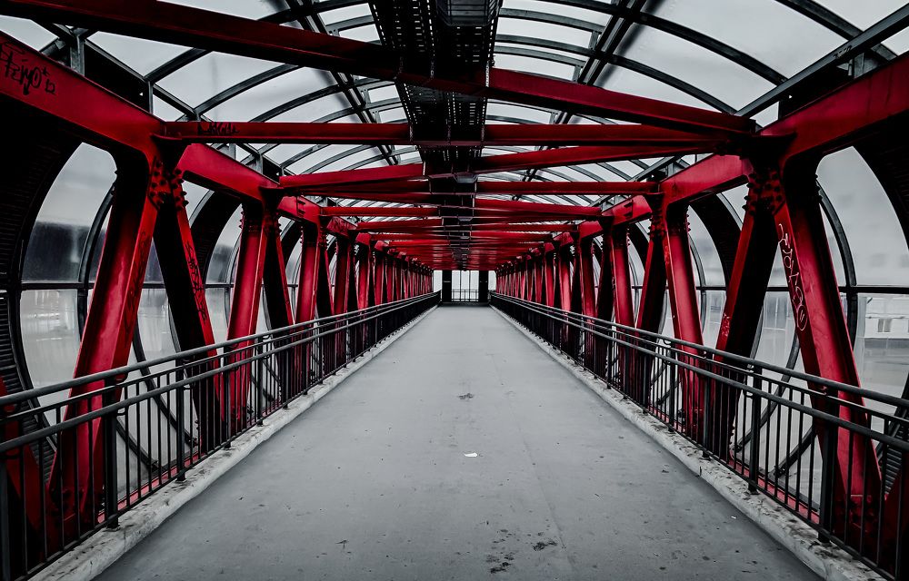 Photograph by Никита Борзов