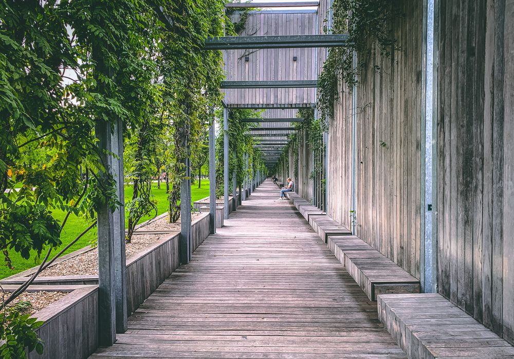 Photograph by Никита Борзов