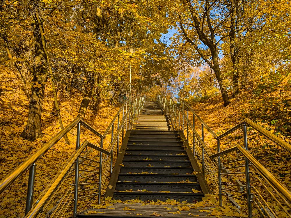 Photograph by Никита Борзов