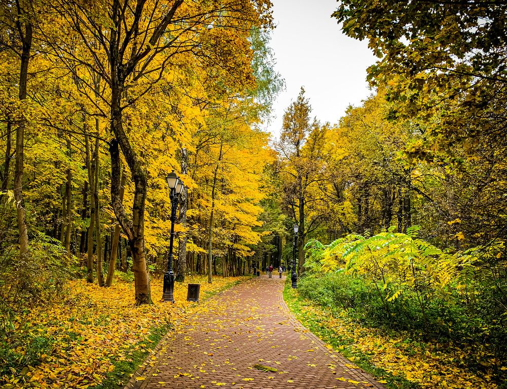 Photograph by Никита Борзов