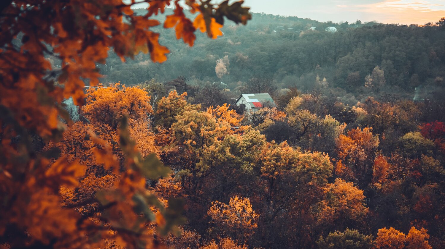 Photo #6720655