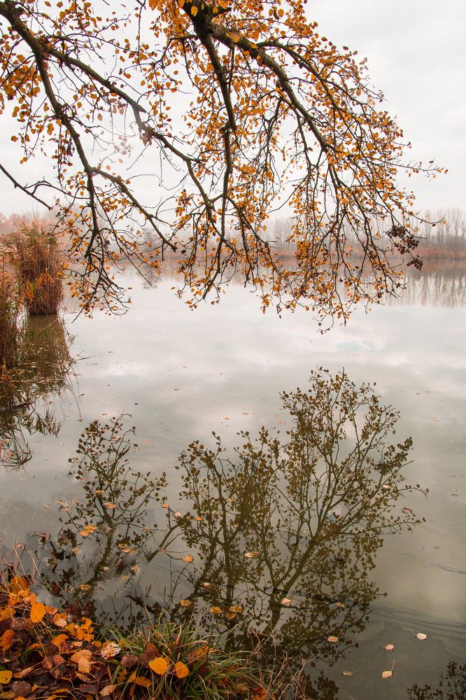 Photograph by Антонина Кузнецова