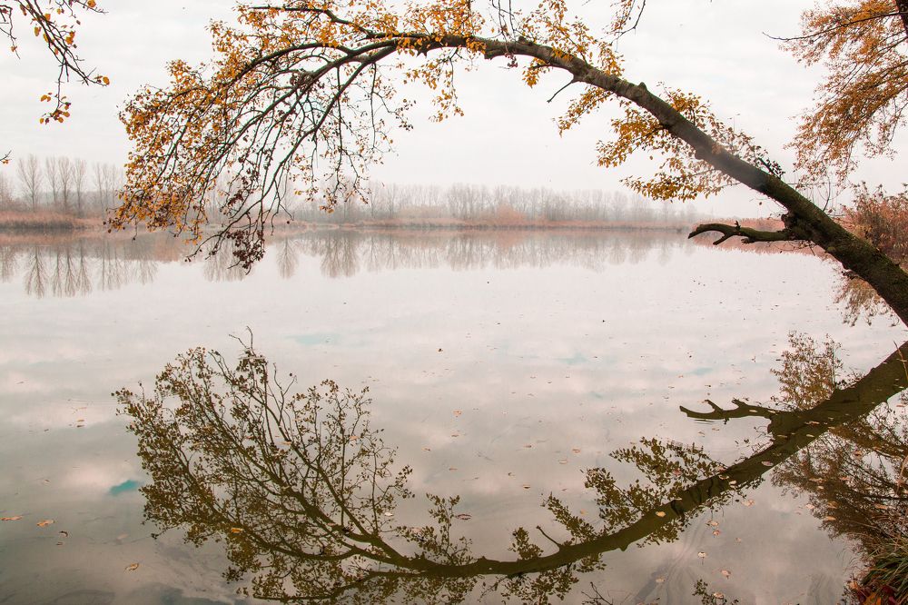 Photograph by Антонина Кузнецова