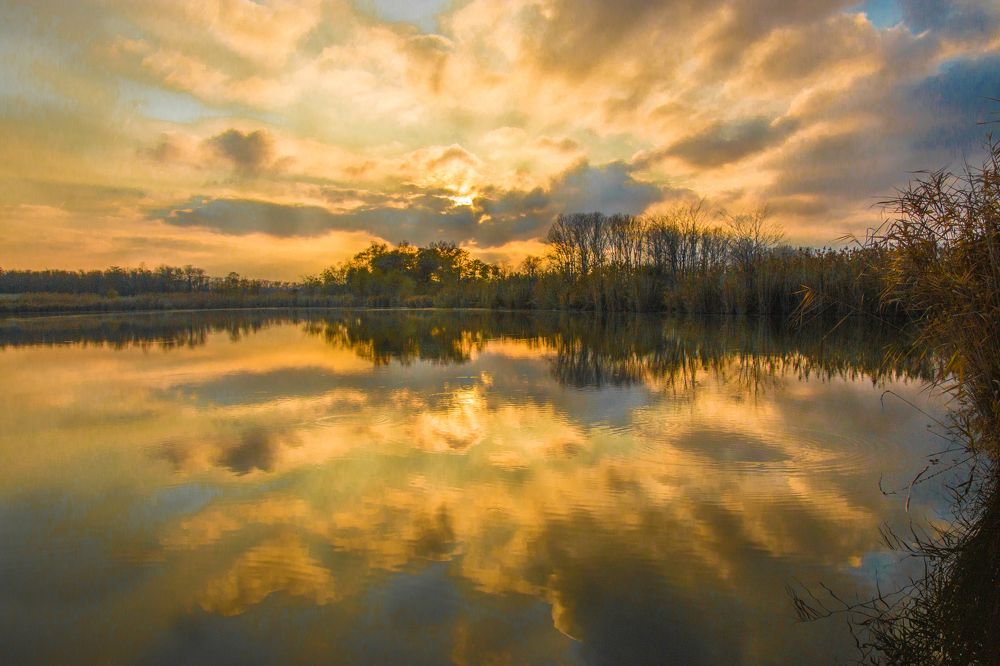 Photograph by Антонина Кузнецова