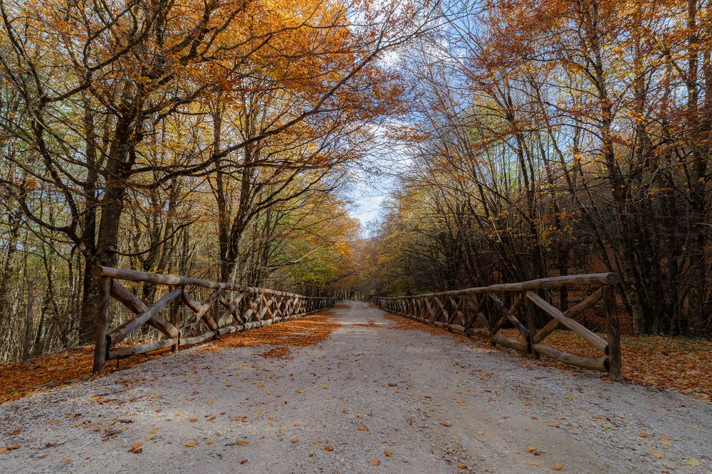 Photograph by Massimo Tamajo