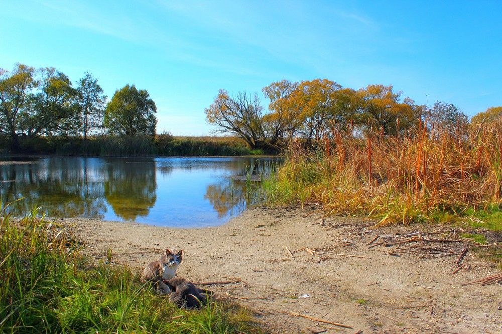 Photograph by Татьяна Черняева