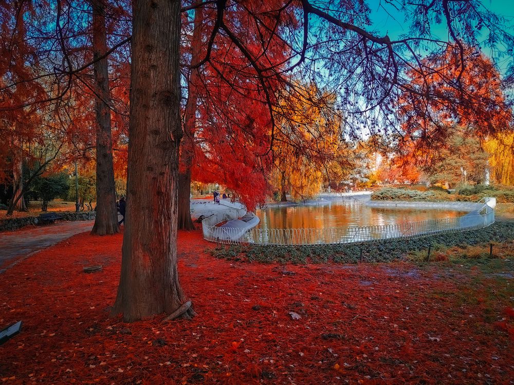 Photograph by Dragan Jekić