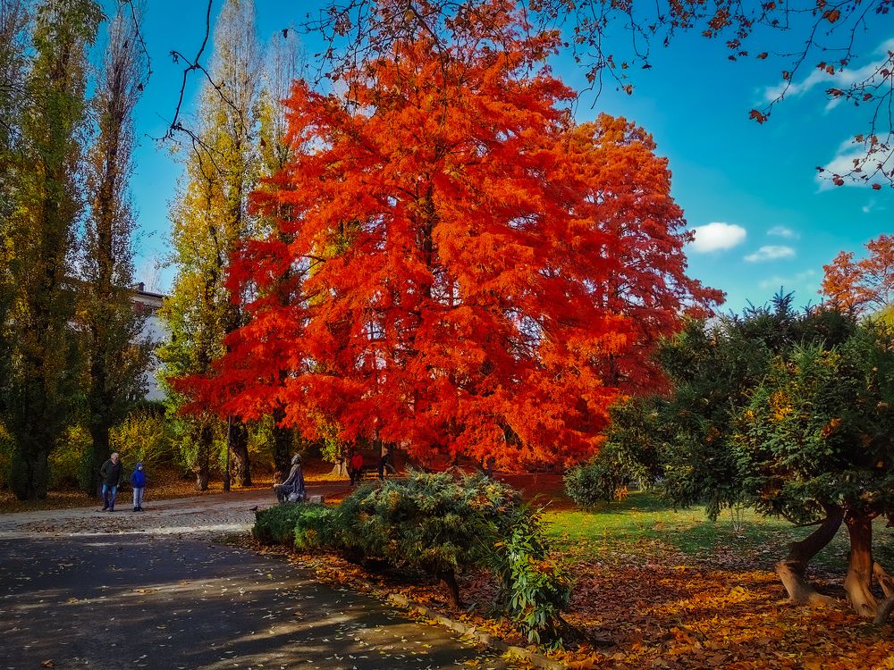 Photograph by Dragan Jekić