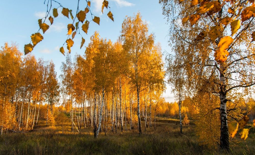 Photograph by Андрей Папанов