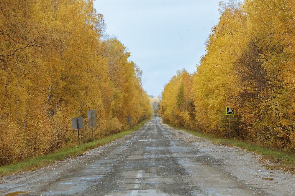 Фотография автора Рамиль Фаттахов