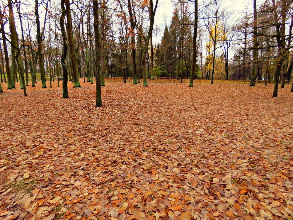 Photograph by Валерия