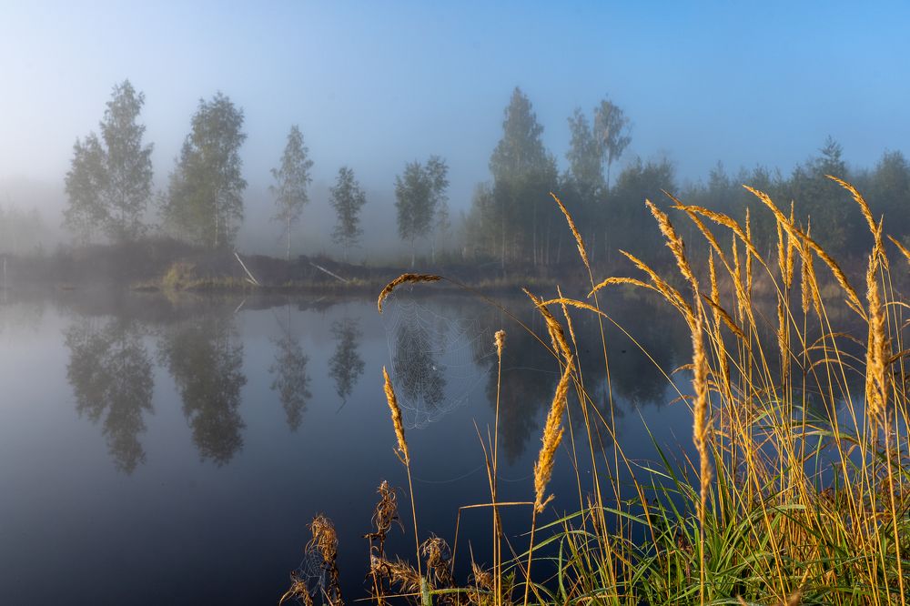 Photograph by Баландин Дмитрий