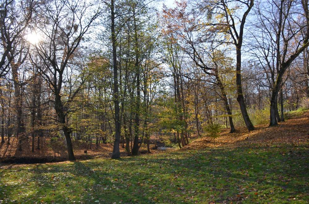 Photograph by Надежда Каравайцева