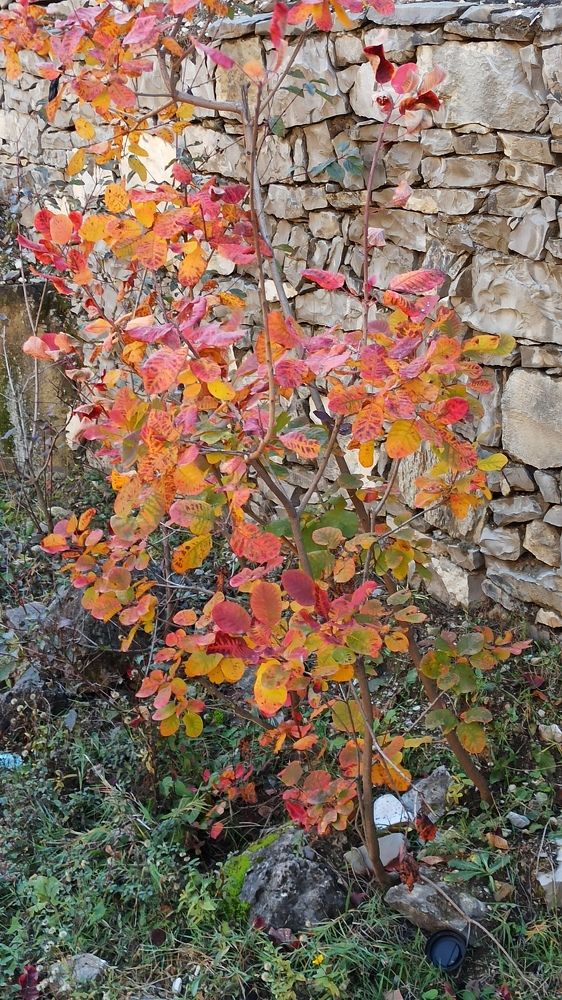 Фотография автора Курбан Курбаналиев