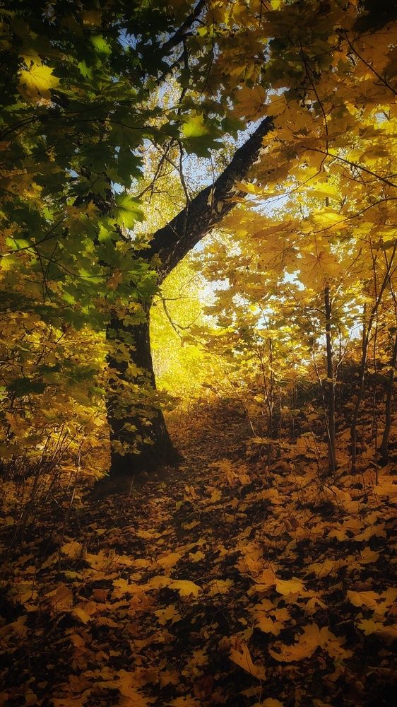 Photograph by Наталья Кошелева