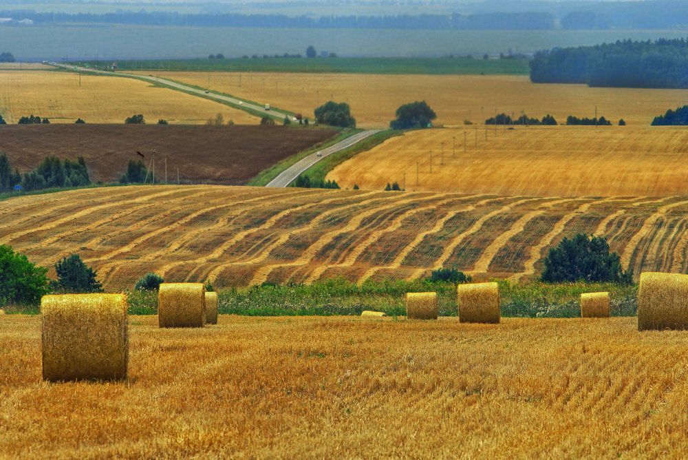 Photograph by Светлана Ульянова