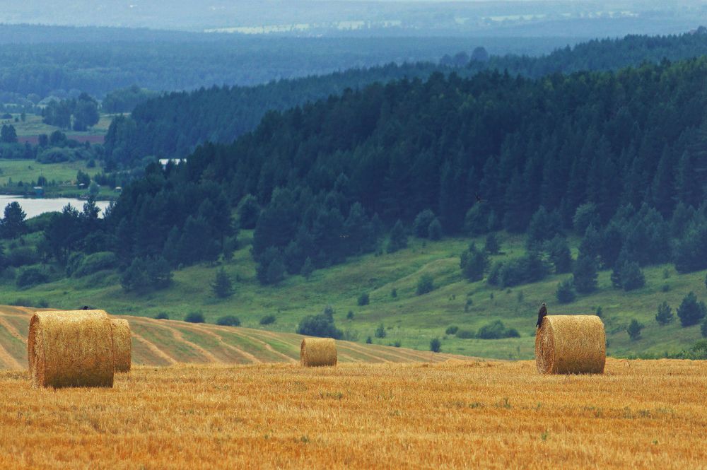 Photograph by Светлана Ульянова