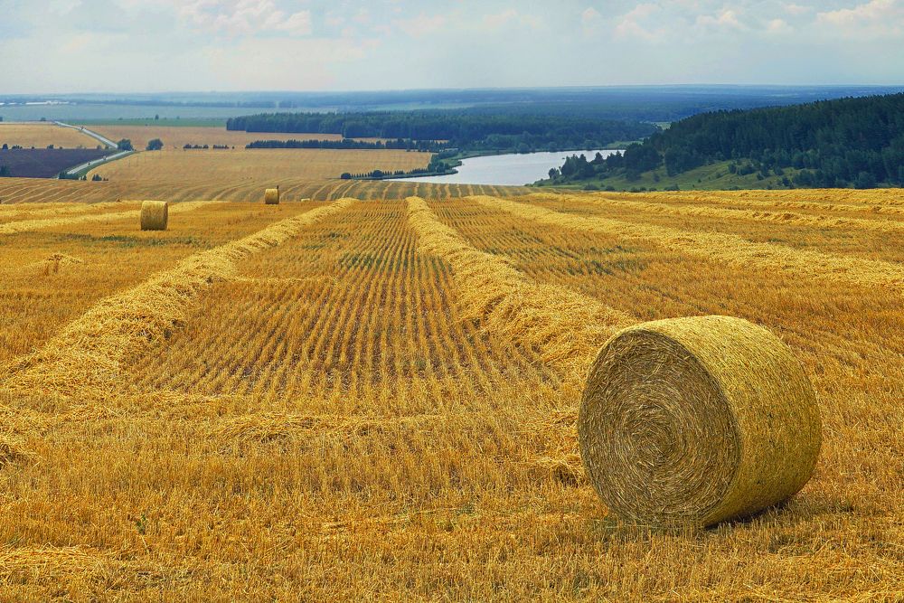 Photograph by Светлана Ульянова