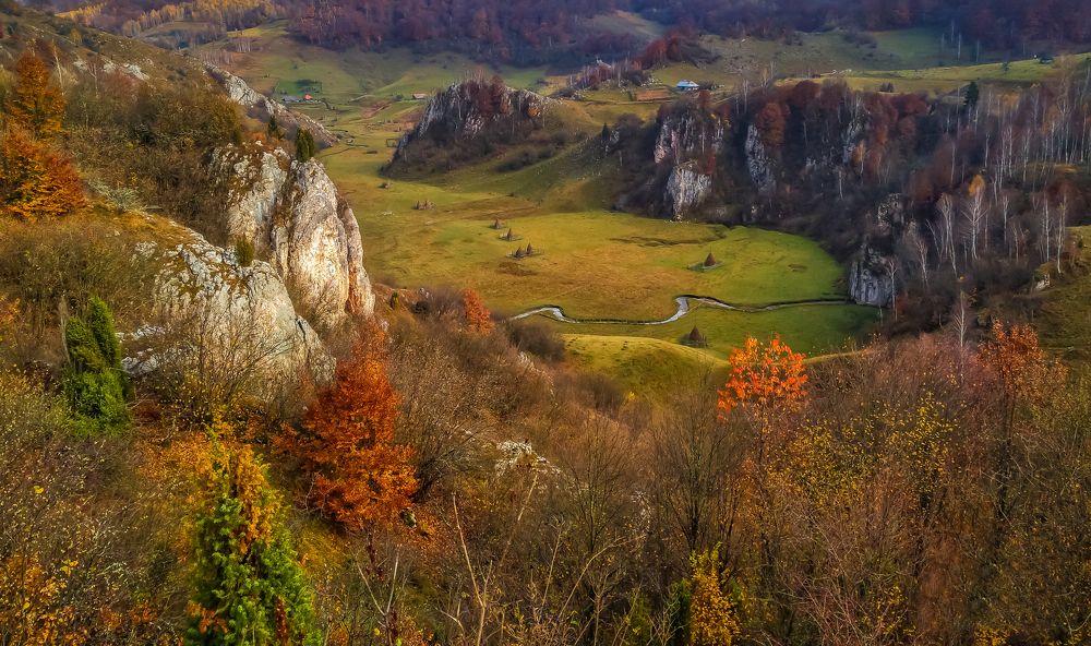 Photograph by buta marius