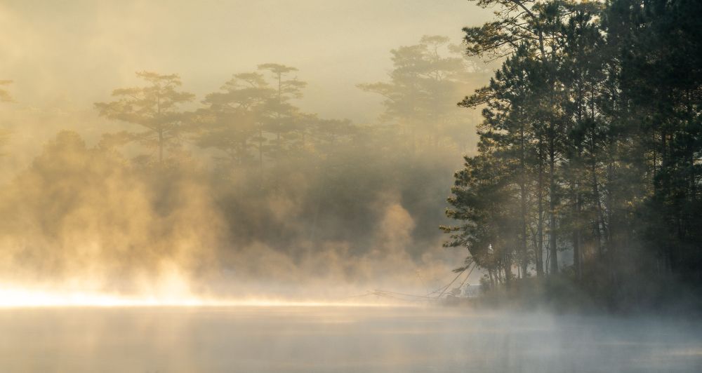 Photograph by nguyễn minh