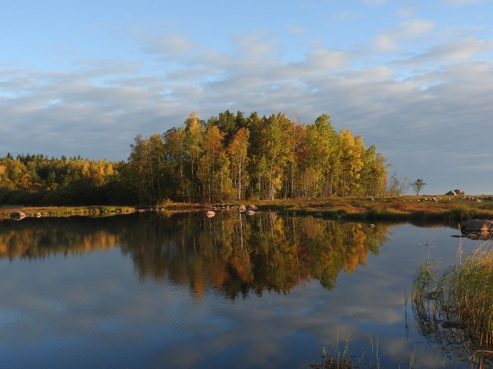 Фотография автора Юлия Овчинникова