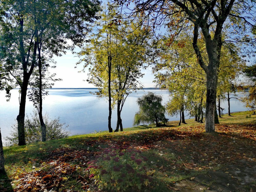 Умиротворенность Нарочанского края