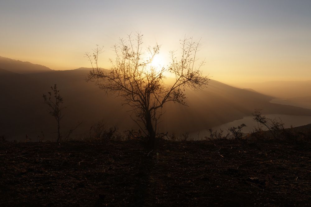 Photograph by Andrew Mikhaylov