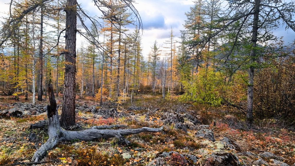 Photograph by Анна Васильева