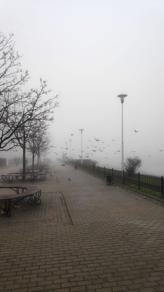 Photograph by Наталья Кошелева