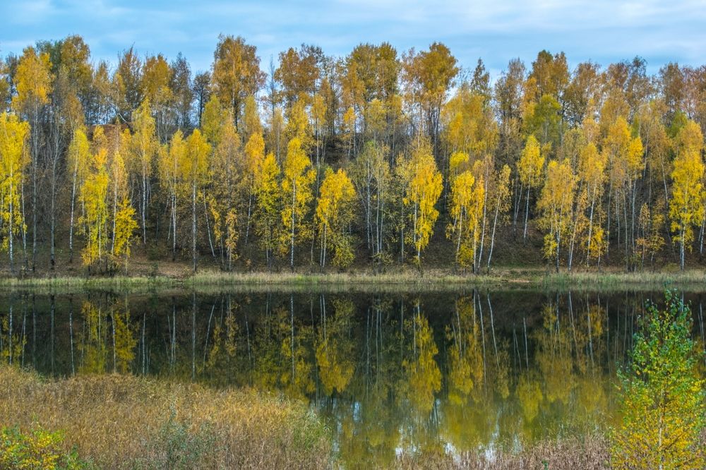 Осенний вечер