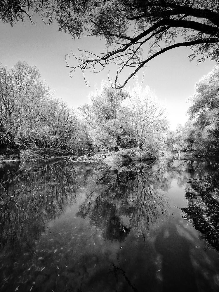 Photograph by Adrian Eperjessy