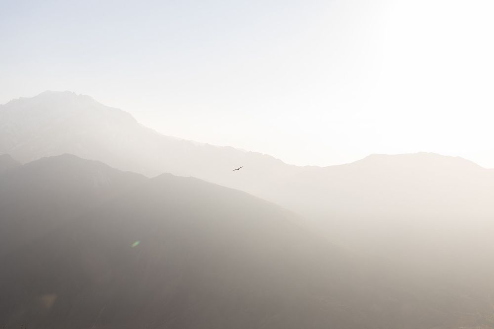 Photograph by Andrew Mikhaylov