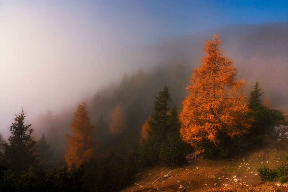 Photograph by Liviu Ciprian Hiticas