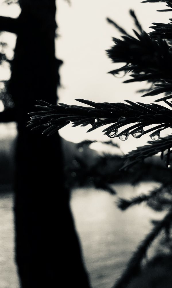 Photograph by Михаил Кувшинов
