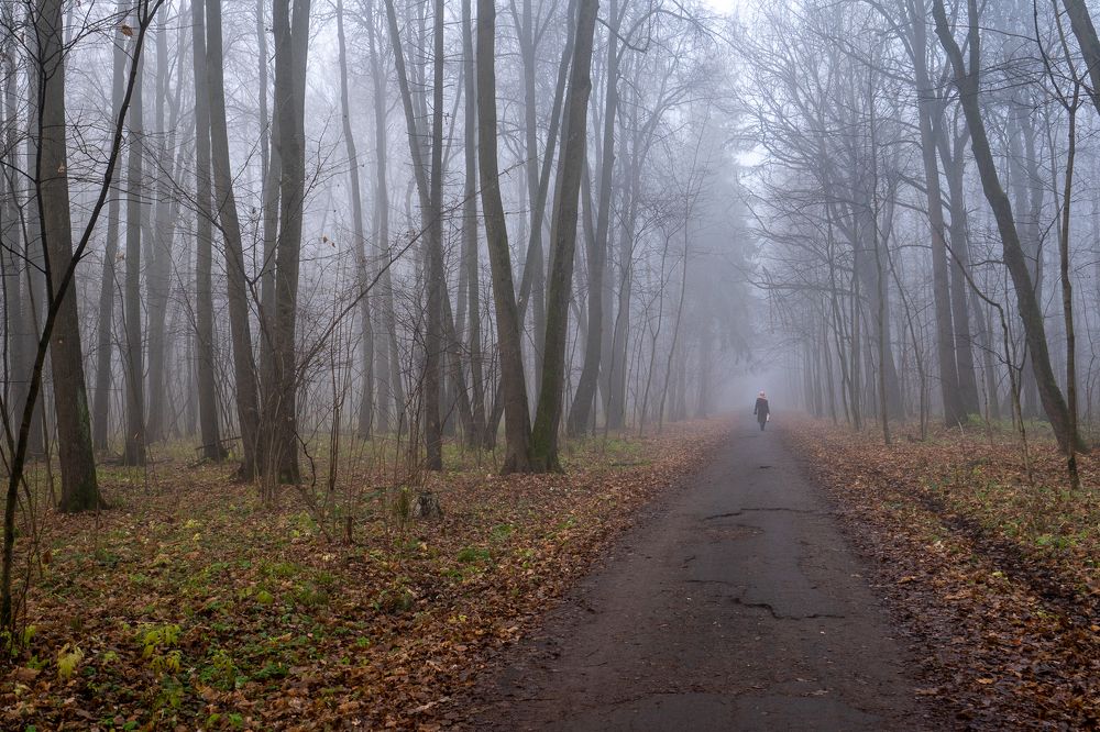 Photograph by Баландин Дмитрий