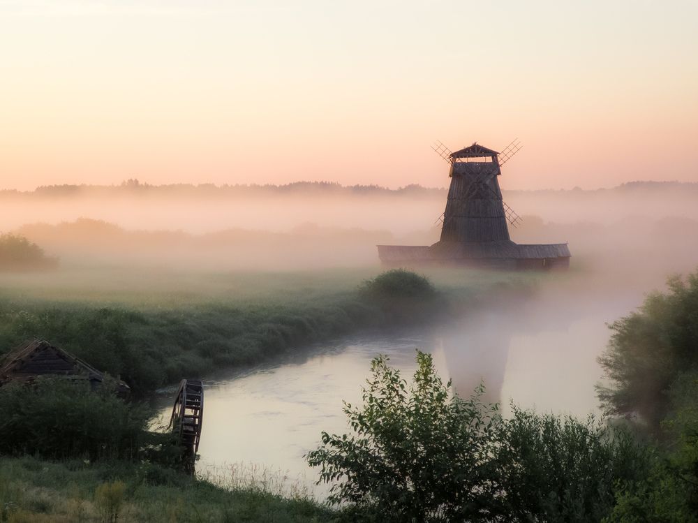 Photograph by Дарья