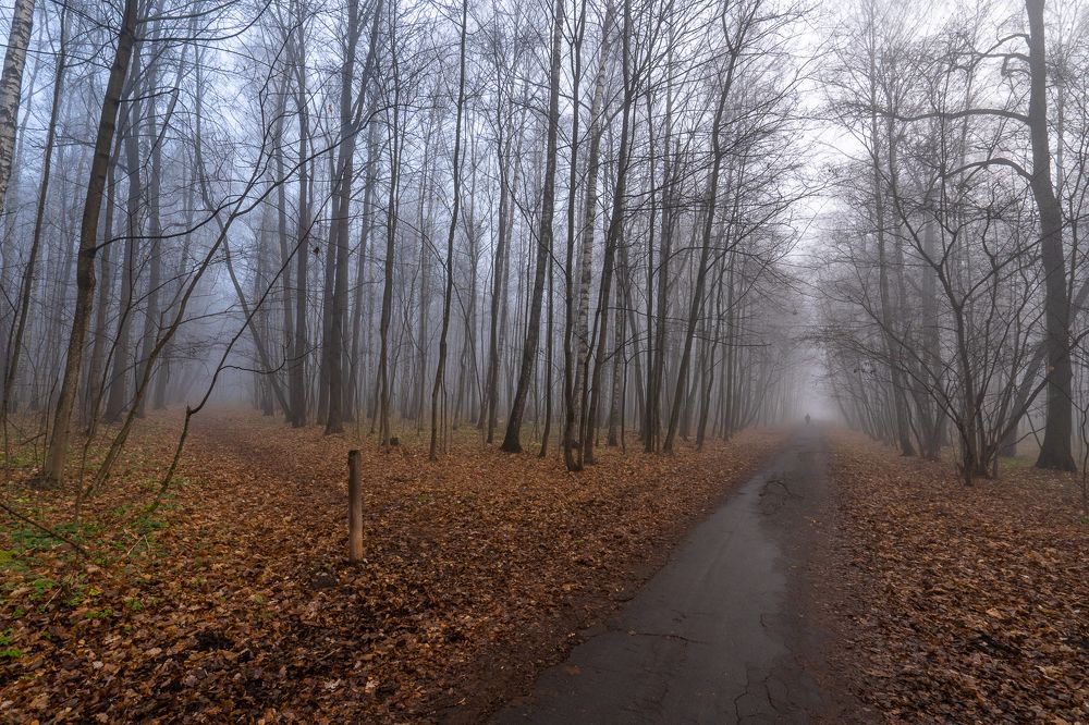 Photograph by Баландин Дмитрий